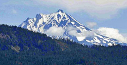 mt jefferson over trees graphic